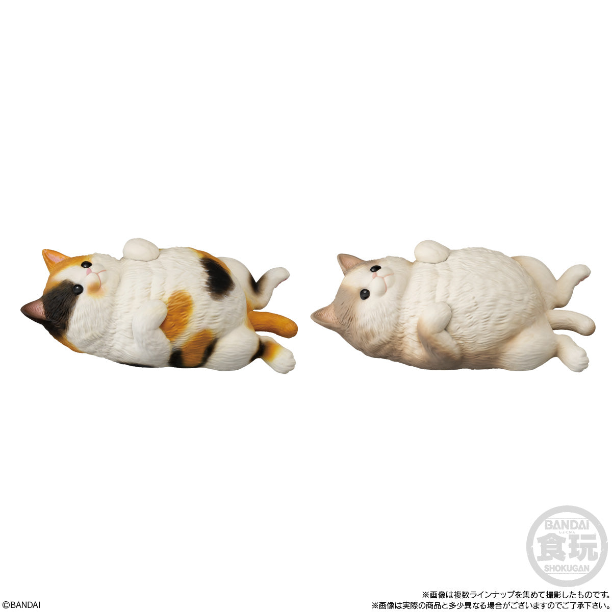 Bandai Shokugan Mocchiri Kororin Mocchiri Kororin Cats (1 Random PC) - Trinity Hobby