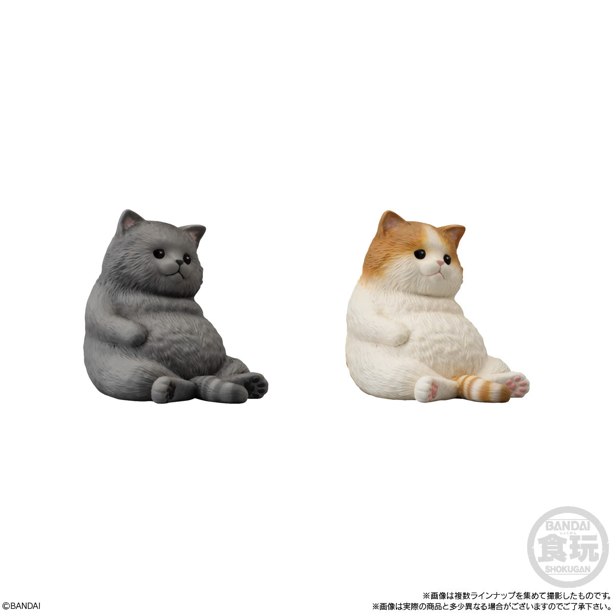 Bandai Shokugan Mocchiri Kororin Mocchiri Kororin Cats (1 Random PC) - Trinity Hobby