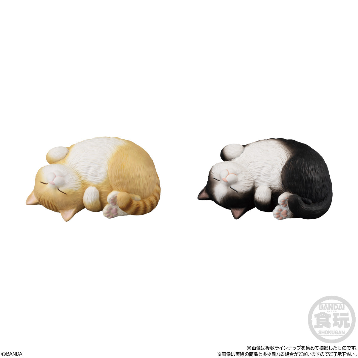 Bandai Shokugan Mocchiri Kororin Mocchiri Kororin Cats (1 Random PC) - Trinity Hobby