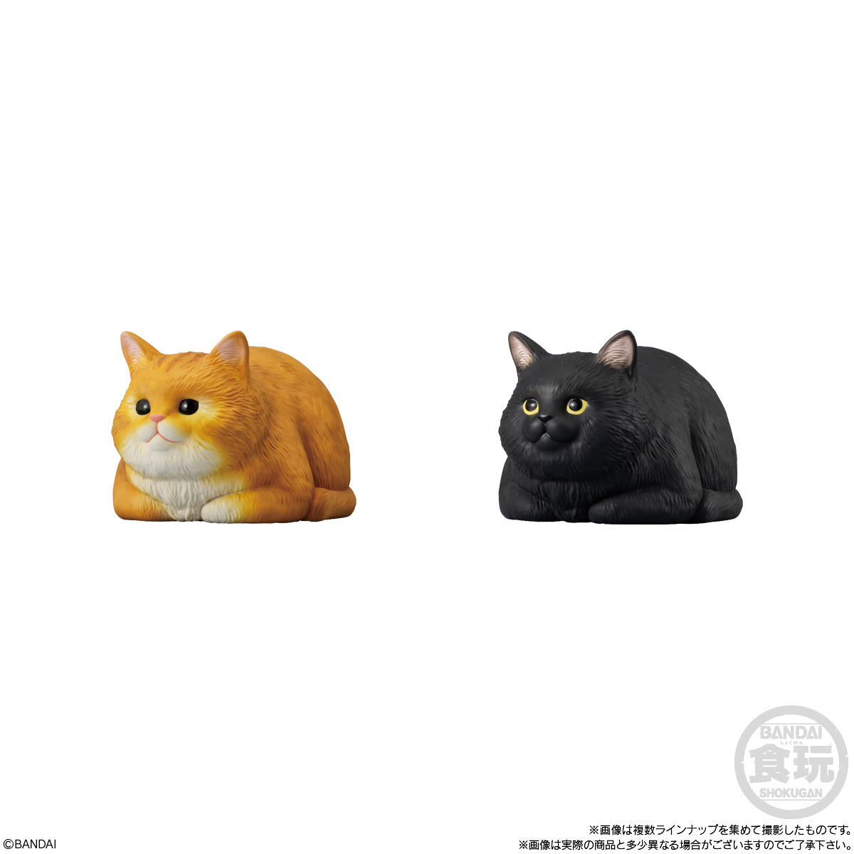 Bandai Shokugan Mocchiri Kororin Mocchiri Kororin Cats (1 Random PC) - Trinity Hobby