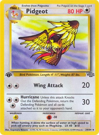 Pidgeot (24/64) [Jungle 1st Edition] - Trinity Hobby