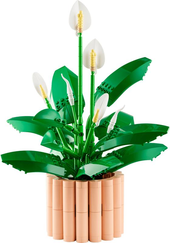 11504 Peace Lily - Trinity Hobby