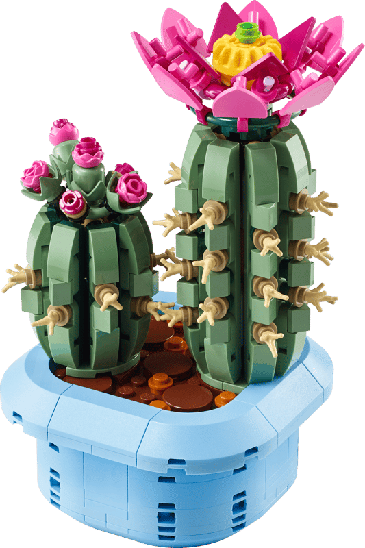 11509 Flowering Cactus - Trinity Hobby
