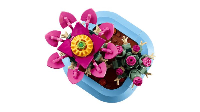 11509 Flowering Cactus - Trinity Hobby