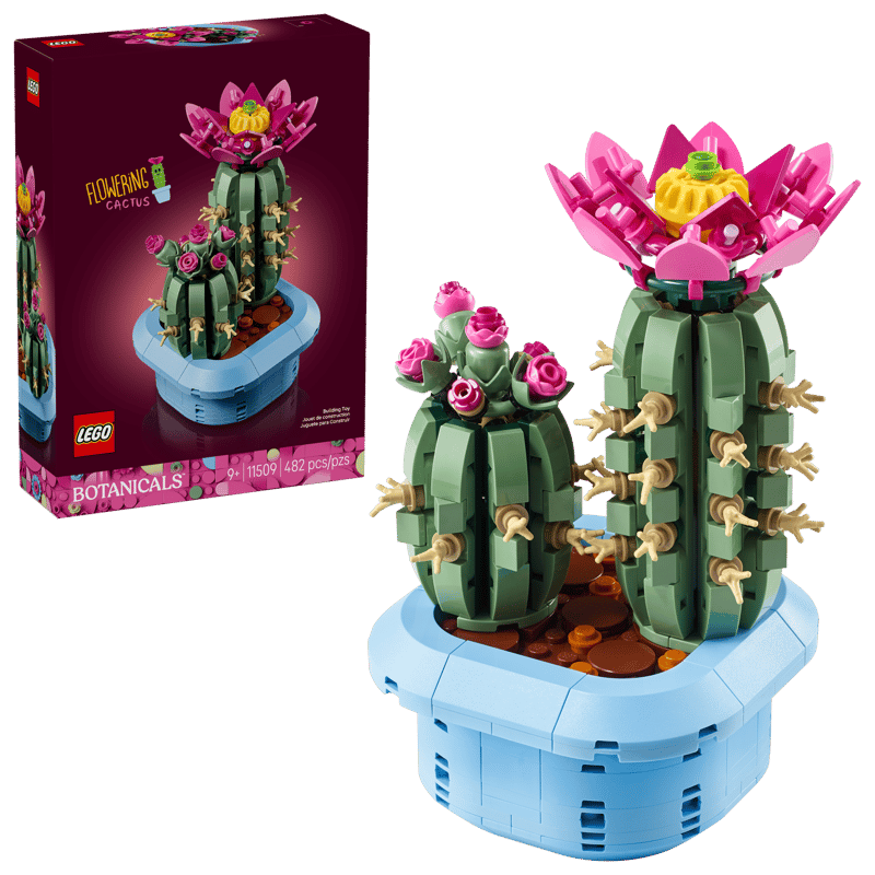 11509 Flowering Cactus - Trinity Hobby