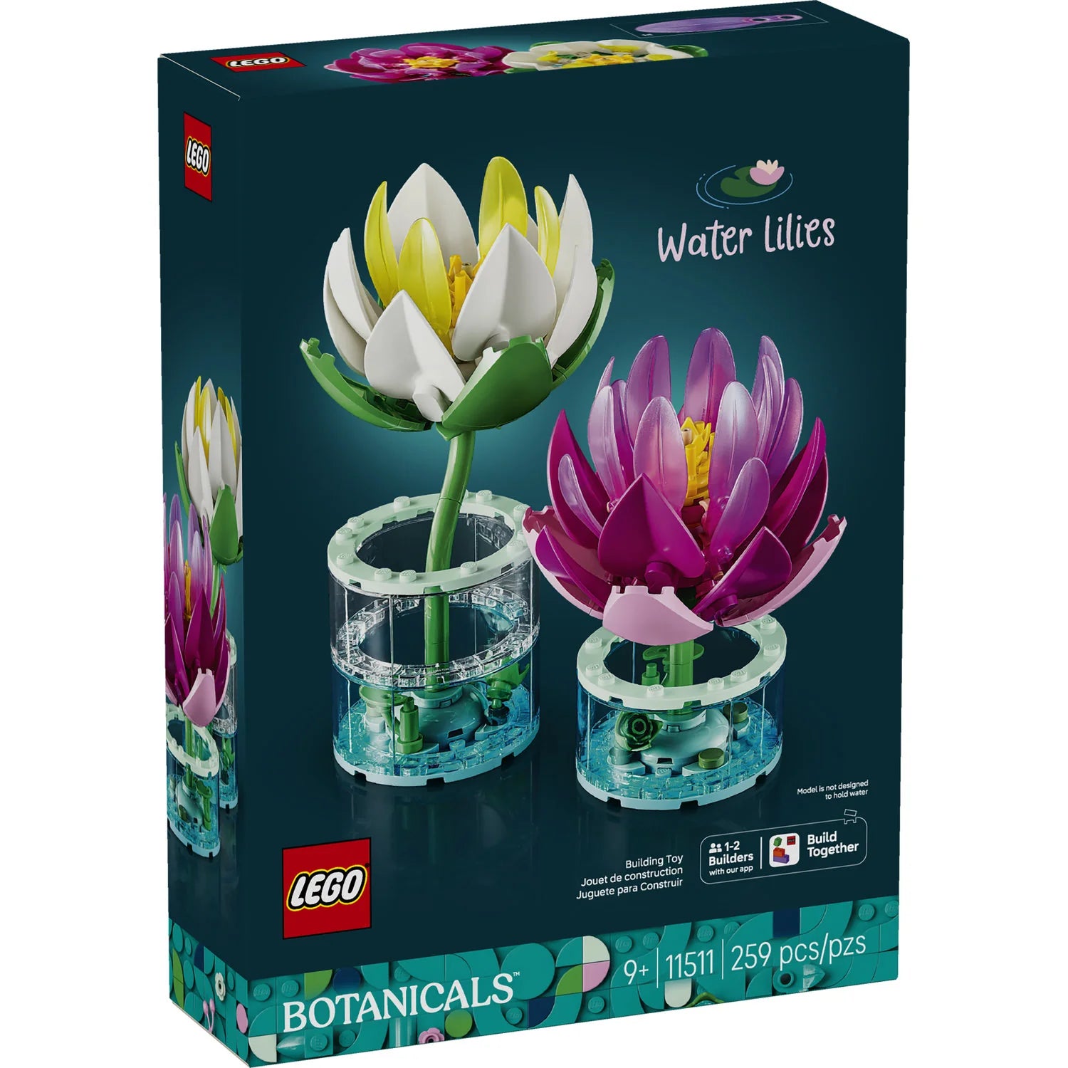 11511 Water Lilies