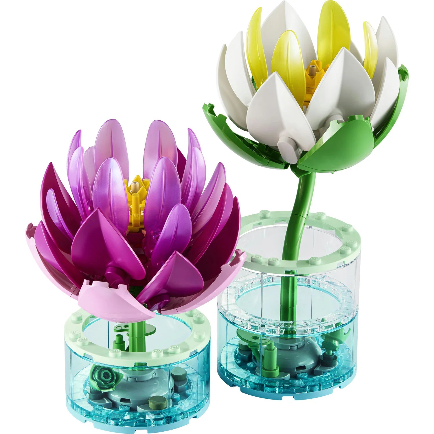 11511 Water Lilies