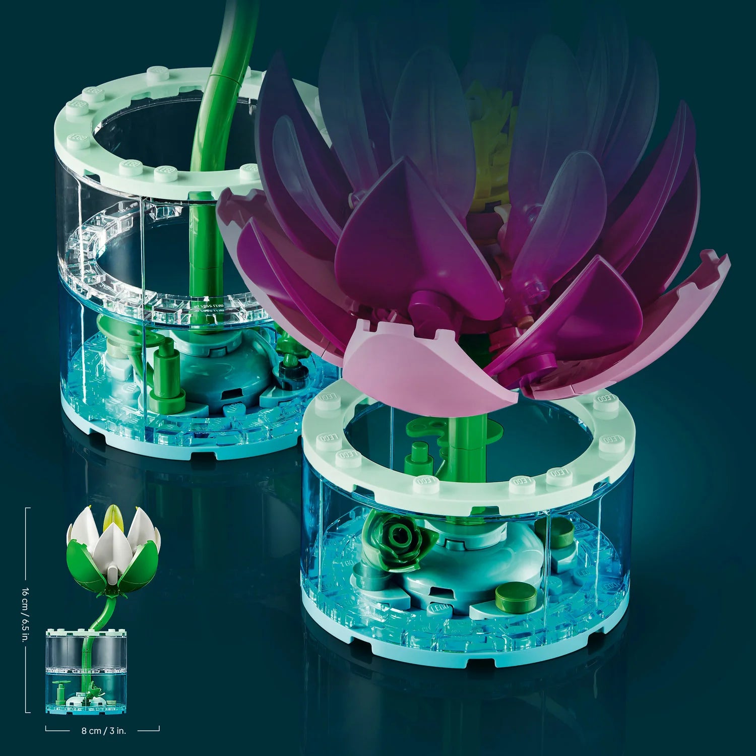11511 Water Lilies