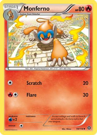 Monferno (19/114) [XY: Steam Siege] - Trinity Hobby
