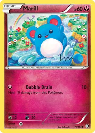 Marill (76/114) [XY: Steam Siege] - Trinity Hobby