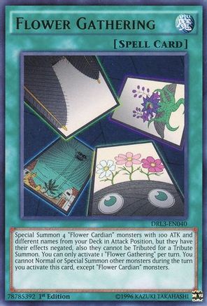 Flower Gathering [DRL3-EN040] Ultra Rare - Trinity Hobby