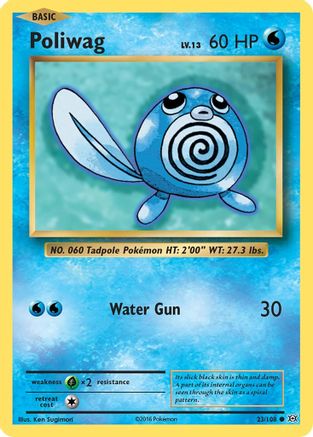 Poliwag (23/108) [XY: Evolutions] - Trinity Hobby