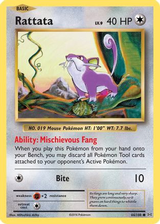 Rattata (66/108) [XY: Evolutions] - Trinity Hobby
