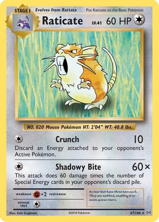 Raticate (67/108) [XY: Evolutions] - Trinity Hobby