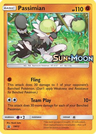 Passimian (SM12) [Sun & Moon: Black Star Promos] - Trinity Hobby