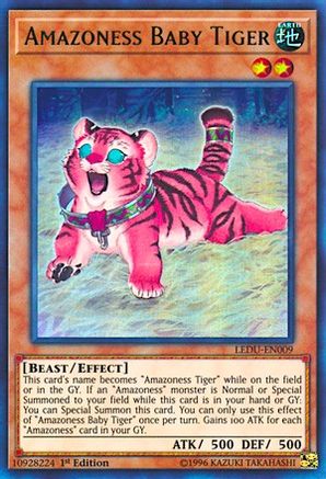 Amazoness Baby Tiger [LEDU-EN009] Ultra Rare - Trinity Hobby
