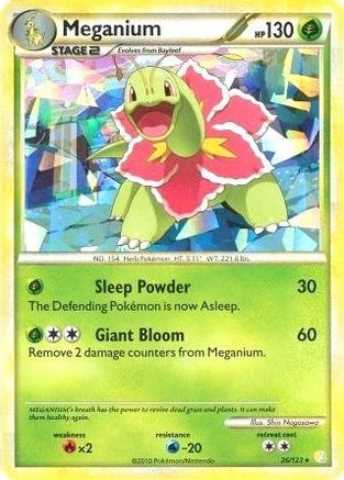 Meganium (26/123) (Cracked Ice Holo) [HeartGold & SoulSilver: Base Set] - Trinity Hobby