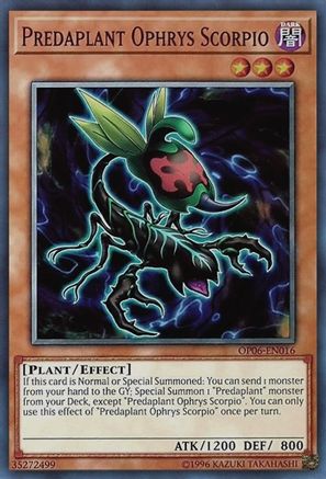 Predaplant Ophrys Scorpio [OP06-EN016] Common - Trinity Hobby