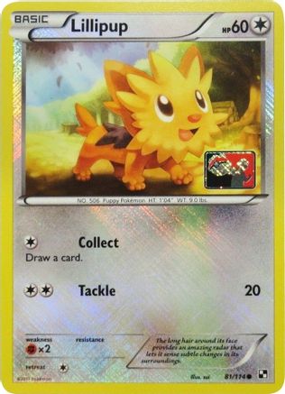 Lillipup (81/114) (League Promo) [Black & White: Base Set] - Trinity Hobby