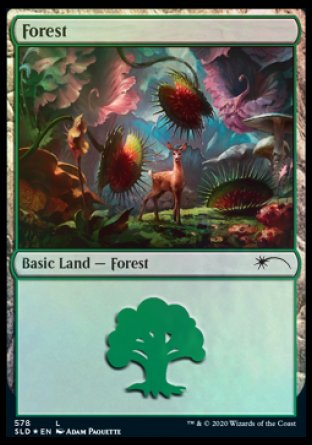 Forest (Predatory) (578) [Secret Lair Drop Promos] - Trinity Hobby