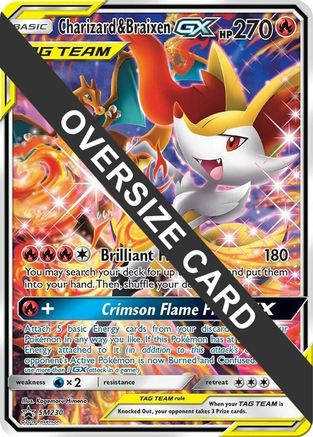 Charizard & Braixen GX (SM230) (Jumbo Card) [Sun & Moon: Black Star Promos] - Trinity Hobby