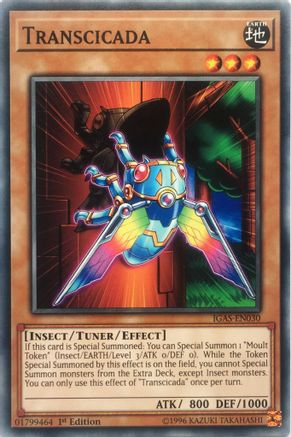 Transcicada [IGAS-EN030] Common - Trinity Hobby