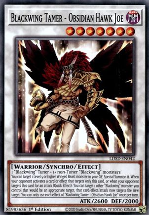 Blackwing Tamer - Obsidian Hawk Joe [LDS2-EN042] Common - Trinity Hobby