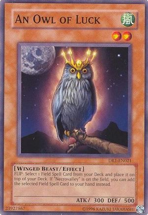 An Owl of Luck [DR1-EN021] Common - Trinity Hobby