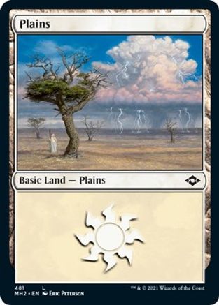 Plains (481) (Foil Etched)  [Foil]  (MH2-481) - [Modern Horizons 2]