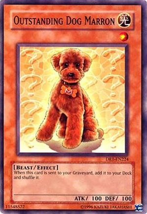 Outstanding Dog Marron [DR1-EN224] - Dark Revelation Volume 1 Unlimited - Common / Short Print - Trinity Hobby