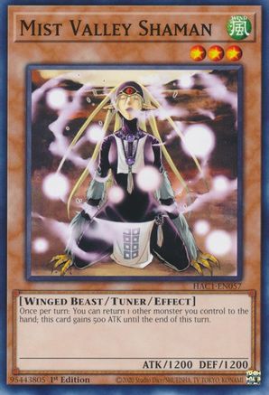 Mist Valley Shaman [HAC1-EN057] Common - Trinity Hobby