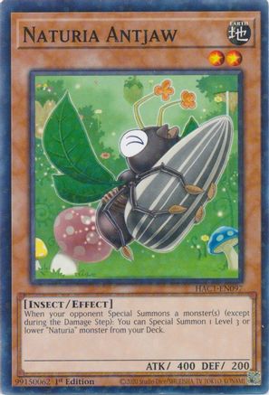 Naturia Antjaw (Duel Terminal) [HAC1-EN097] Common - Trinity Hobby