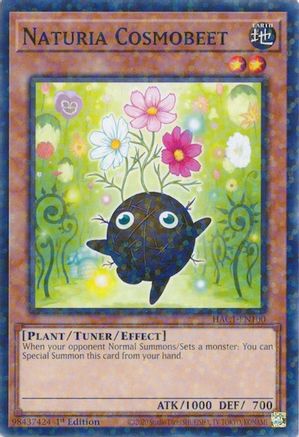 Naturia Cosmobeet (Duel Terminal) [HAC1-EN100] Common - Trinity Hobby