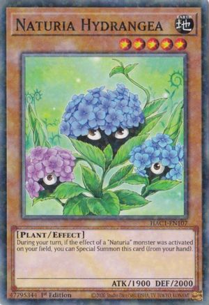 Naturia Hydrangea (Duel Terminal) [HAC1-EN107] Common - Trinity Hobby