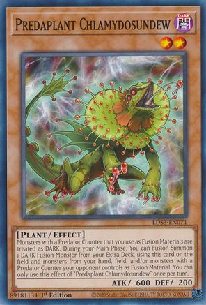 Predaplant Chlamydosundew [LDS3-EN071] Common - Trinity Hobby