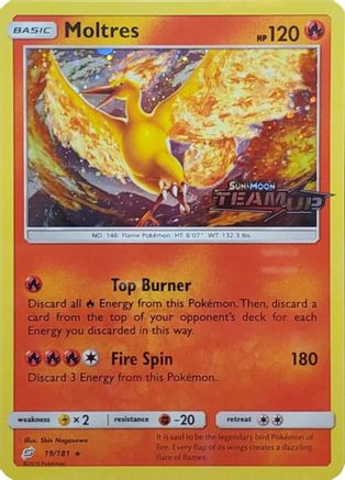 Moltres (19/181) (Estampillé) [Soleil et Lune : Team Up] 