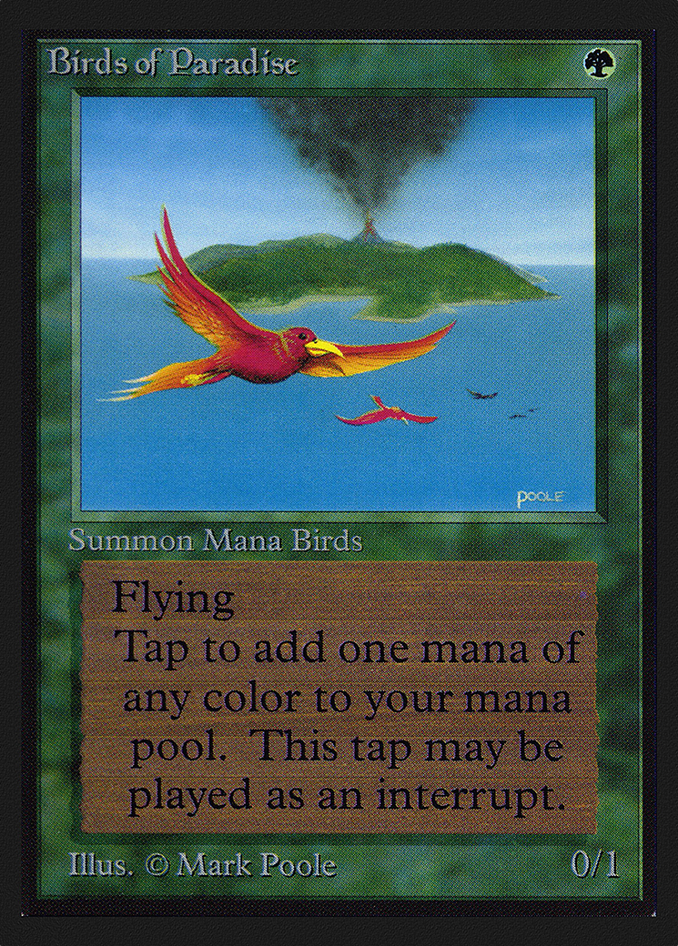 Birds of Paradise [International Collectors' Edition] - Trinity Hobby