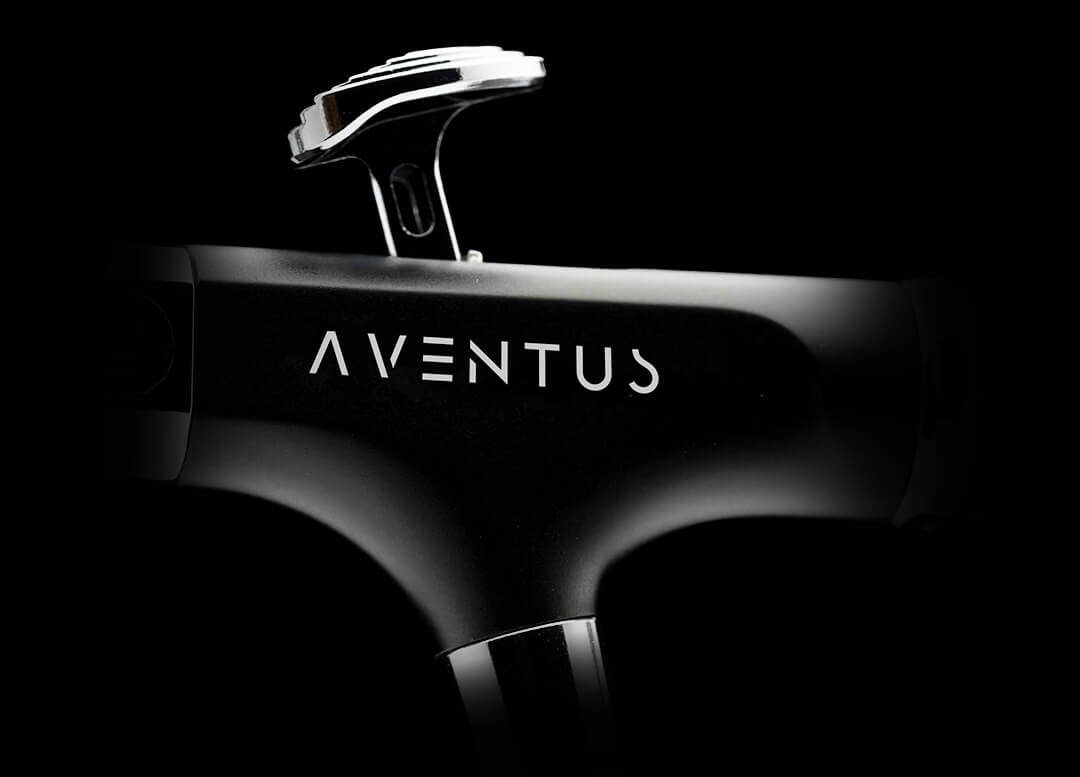Gaahleri Aventus Black Aurora, Aventus Black Aurora - Trinity Hobby