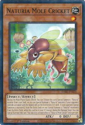 Naturia Mole Cricket [DABL-EN020] Common - Trinity Hobby