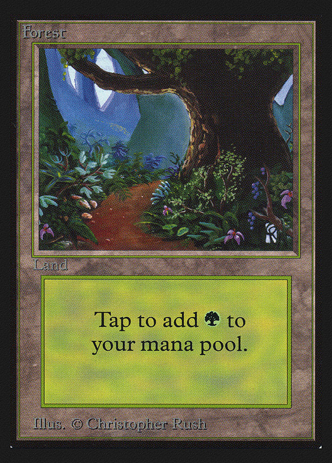 Forest (Flower Path) [Collectors' Edition] - Trinity Hobby