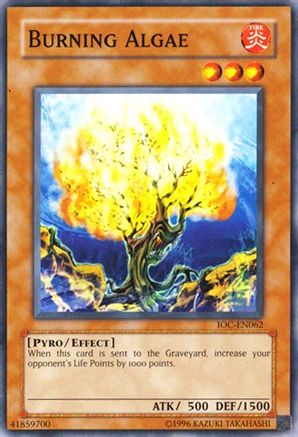 Burning Algae [IOC-EN062] Common - Trinity Hobby