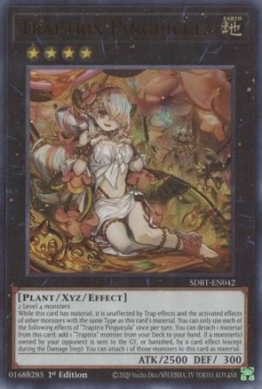 Traptrix Pinguicula [SDBT-EN042] Ultra Rare - Trinity Hobby