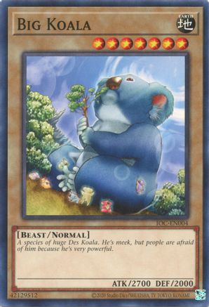 Big Koala (25th Anniversary) [IOC-EN004] Common - Trinity Hobby