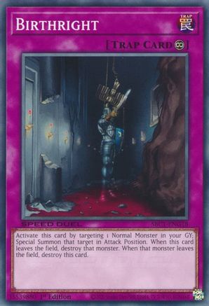 Birthright [SBC1-ENG18] Common - Trinity Hobby