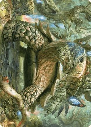 Blossoming Tortoise Art Card  (ASWOE-024) - [Art Series: Wilds of Eldraine]