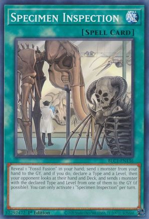 Specimen Inspection [BLC1-EN136] Common - Trinity Hobby