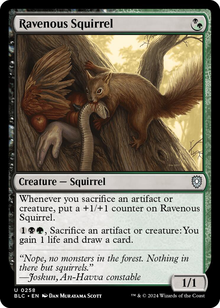 Ravenous Squirrel [Bloomburrow Commander] - Trinity Hobby