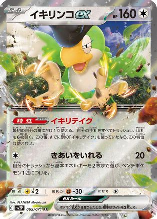 Squawkabilly ex - 065/071 (Japanese)  065/071 - [SV2P Snow Hazard]