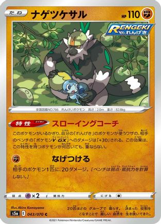 Passimian (Japanese)  043/070 - [S5a Peerless Fighters]