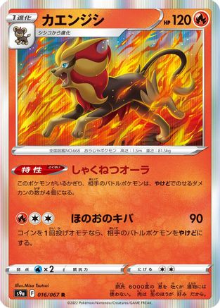 Pyroar (Japanese)  016/067 - [S9a Battle Region]